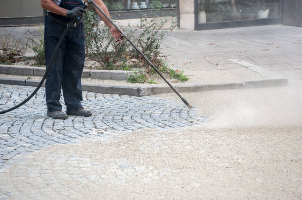 Animal Enclosure Cleaning in Olivet, MI